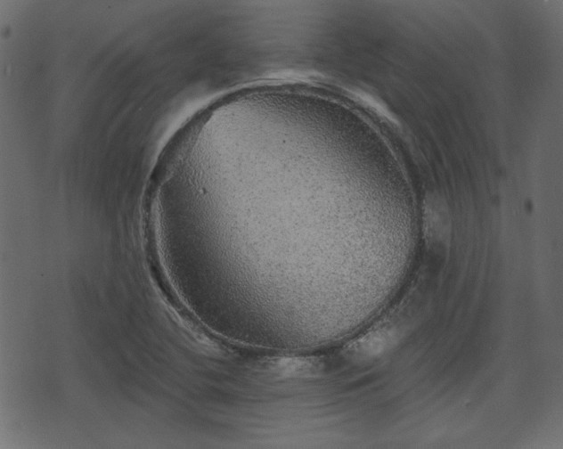 X0000070861412200606231241