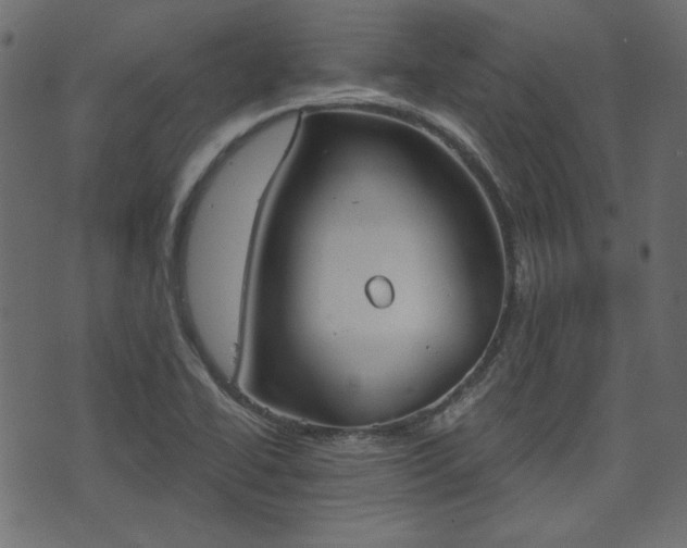 X0000070861414200606231241