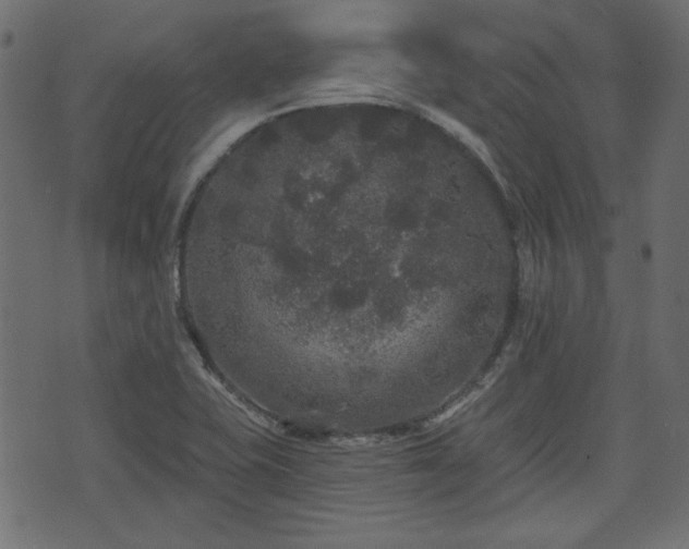 X0000070861415200606231241