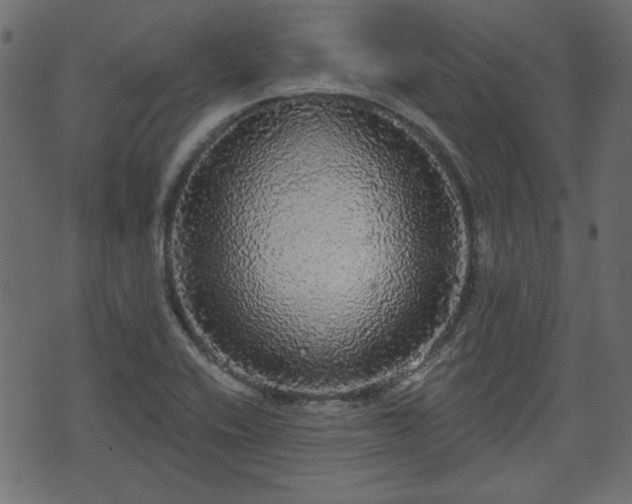 X0000070861416200606231241