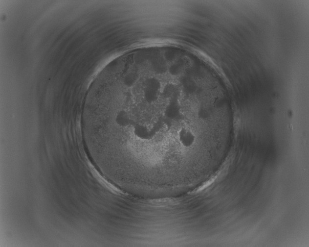 X0000070861417200606231241