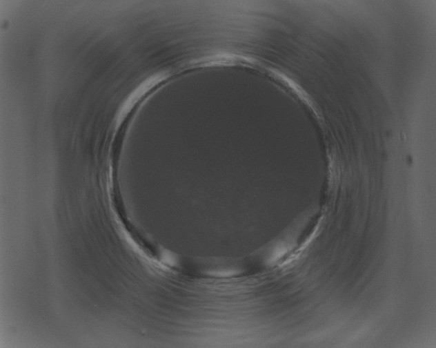 X0000070861418200606231241