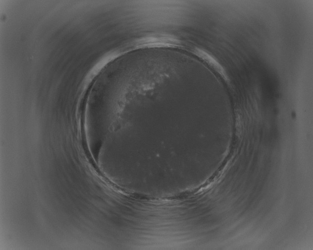 X0000070861419200606231241