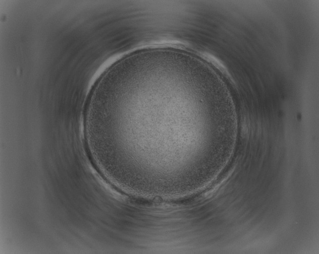 X0000070861420200606231241