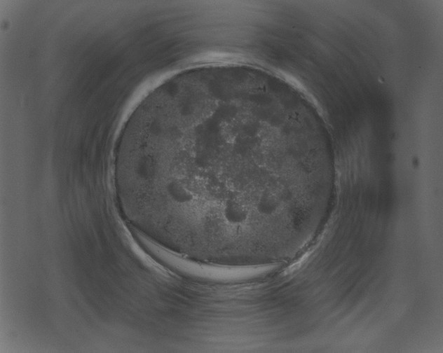 X0000070861421200606231241