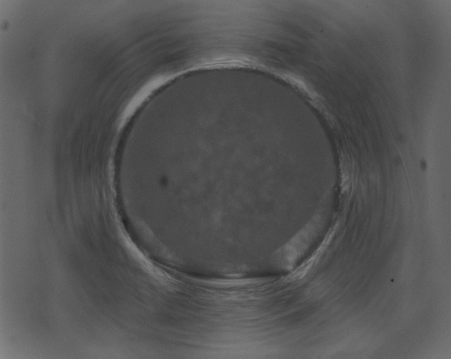 X0000070861422200606231241