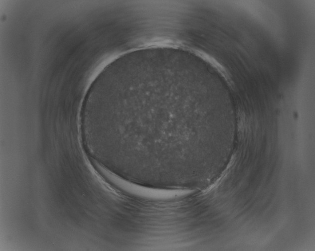 X0000070861423200606231241