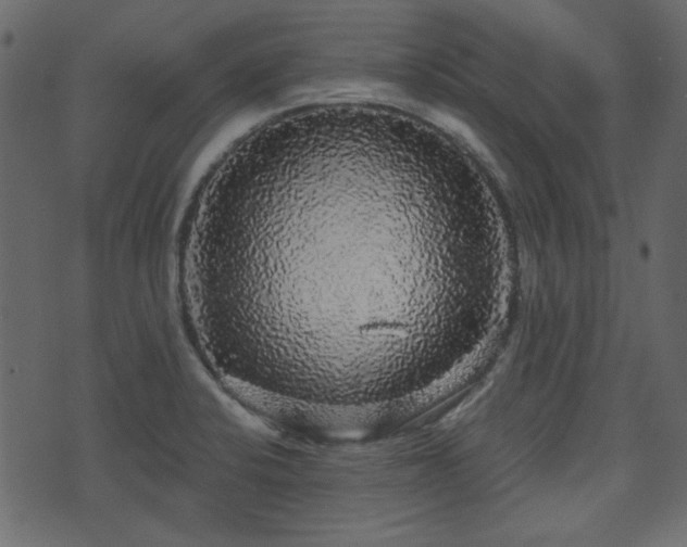 X0000070861424200606231241