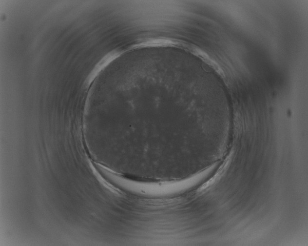 X0000070861425200606231242