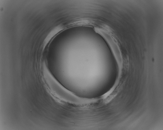 X0000070861426200606231242