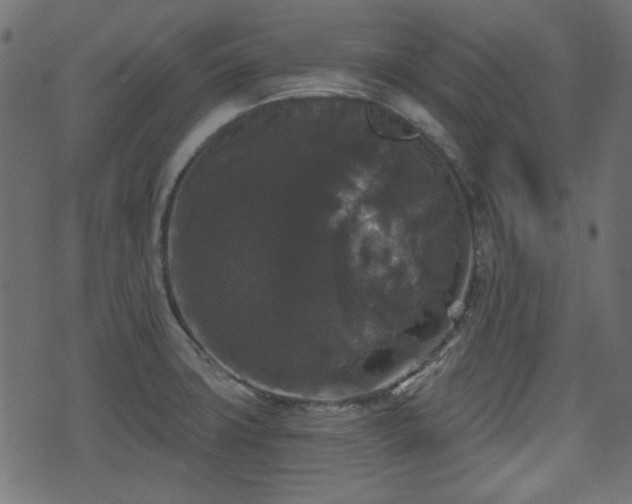 X0000070861427200606231242