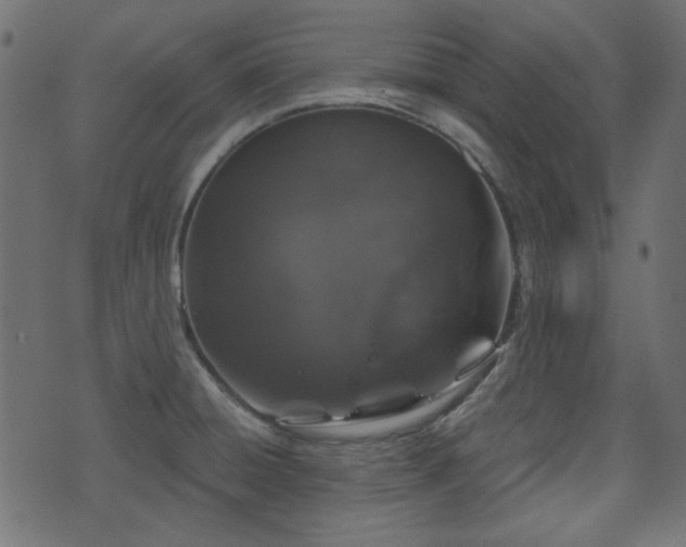 X0000070861428200606231242