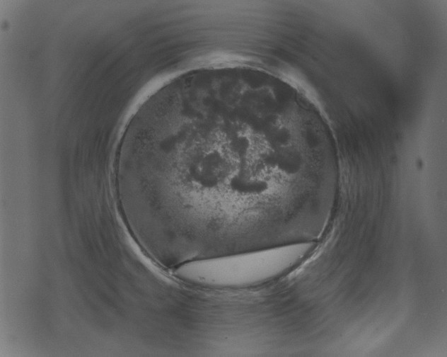 X0000070861429200606231242