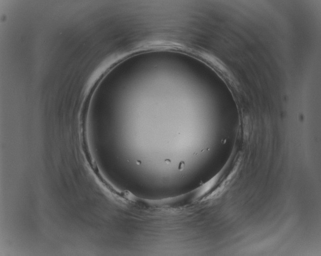 X0000070861430200606231242