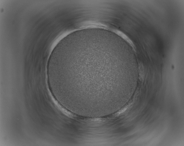 X0000070861431200606231242