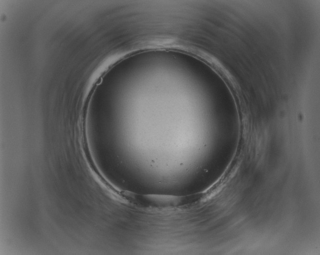 X0000070861432200606231242