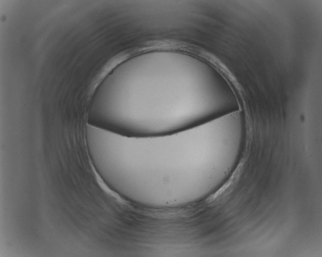 X0000070861433200606231242