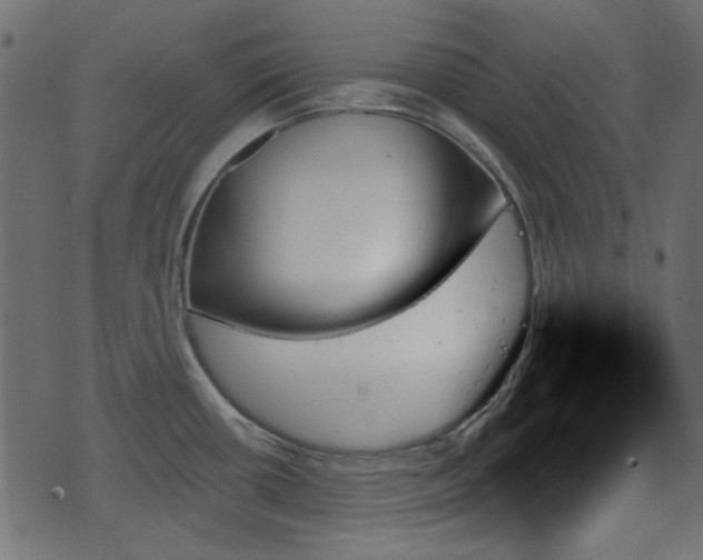 X0000070861434200606231242