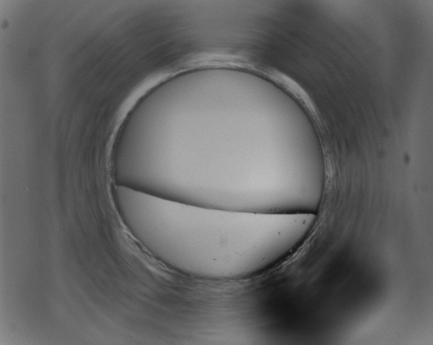 X0000070861435200606231242