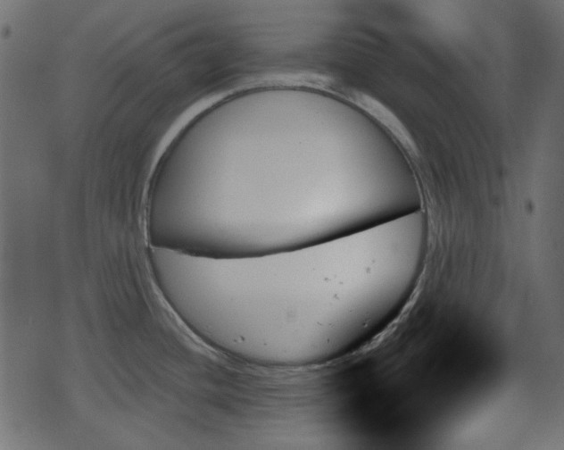 X0000070861436200606231242