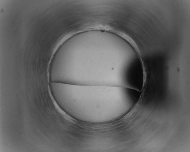 X0000070861439200606231242