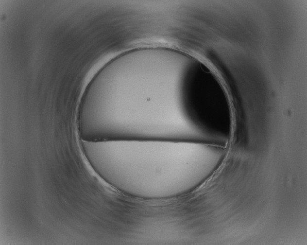 X0000070861440200606231242