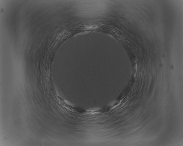 X0000070861441200606231241