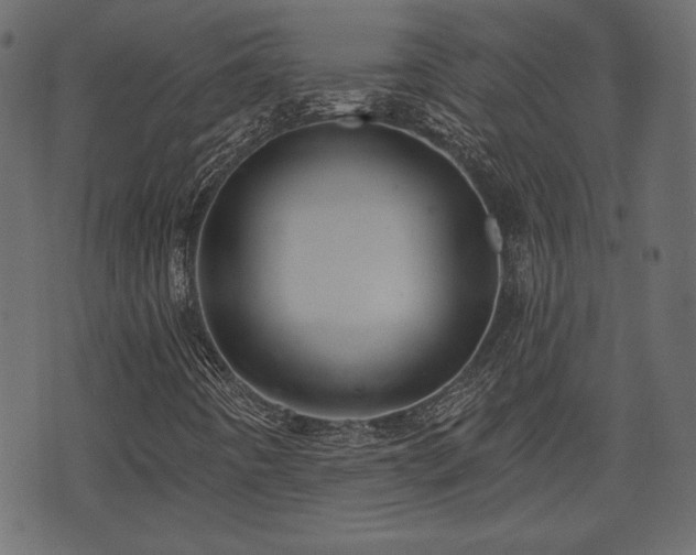 X0000070861442200606231241