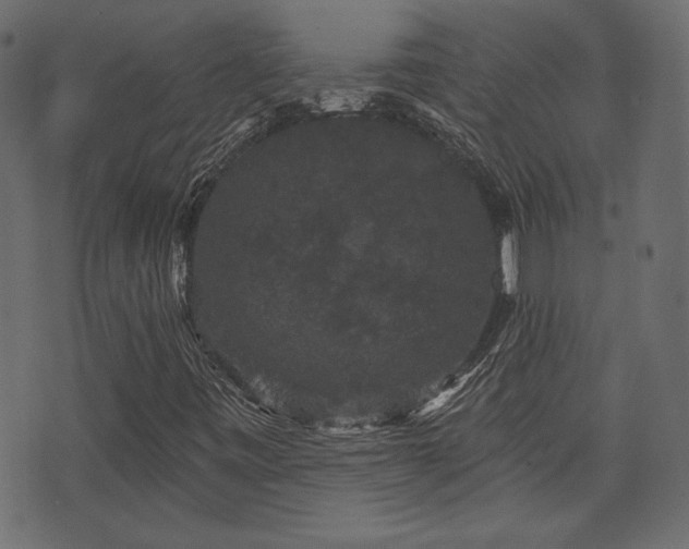 X0000070861443200606231241