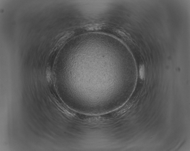 X0000070861444200606231241