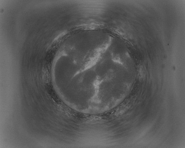 X0000070861446200606231241