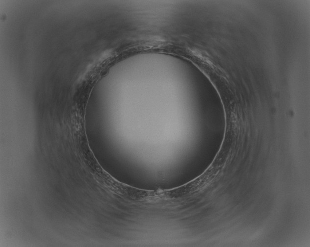 X0000070861447200606231241