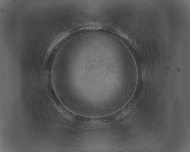 X0000070861448200606231241