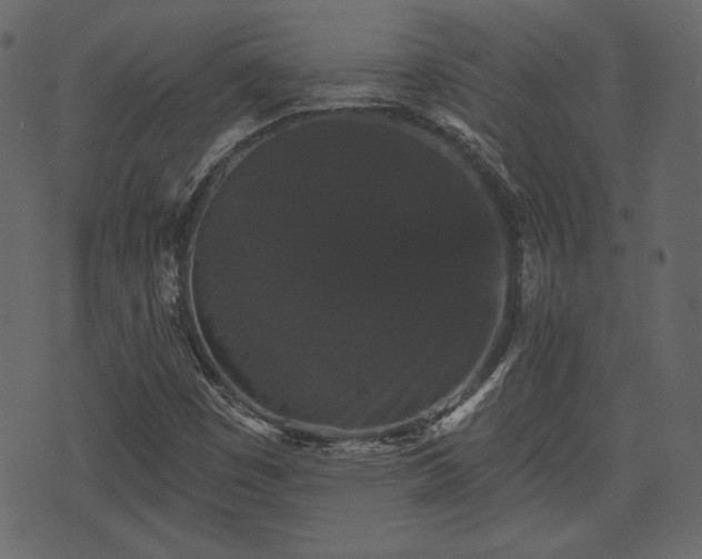 X0000070861449200606231241