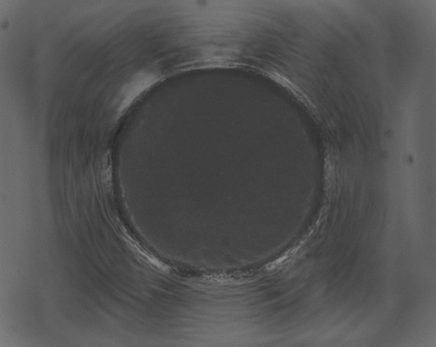 X0000070861450200606231241