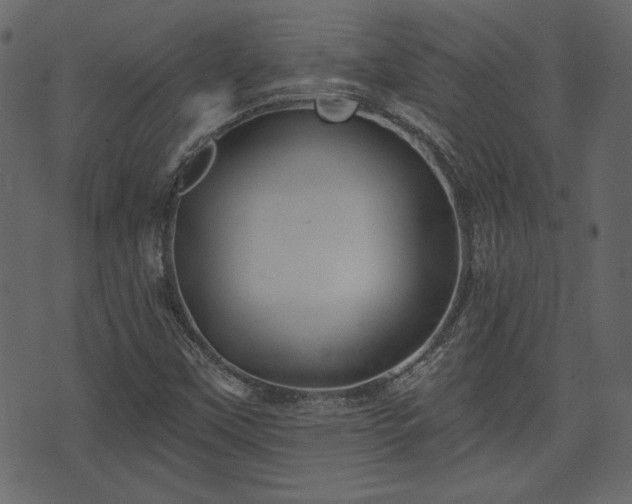 X0000070861451200606231241