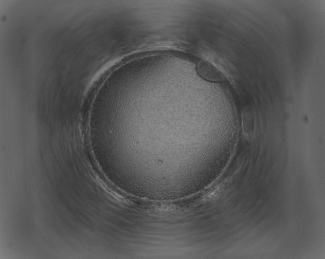 X0000070861452200606231241