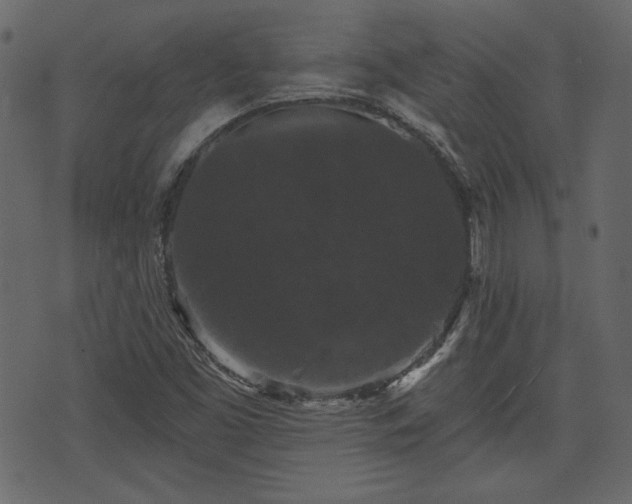 X0000070861453200606231241