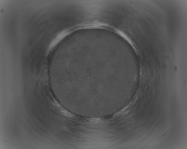 X0000070861456200606231241