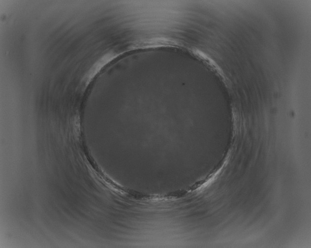 X0000070861457200606231241