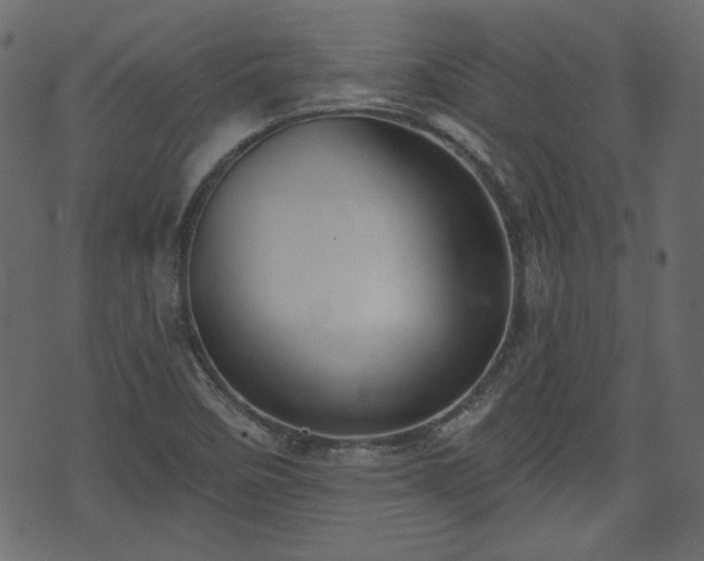 X0000070861458200606231241