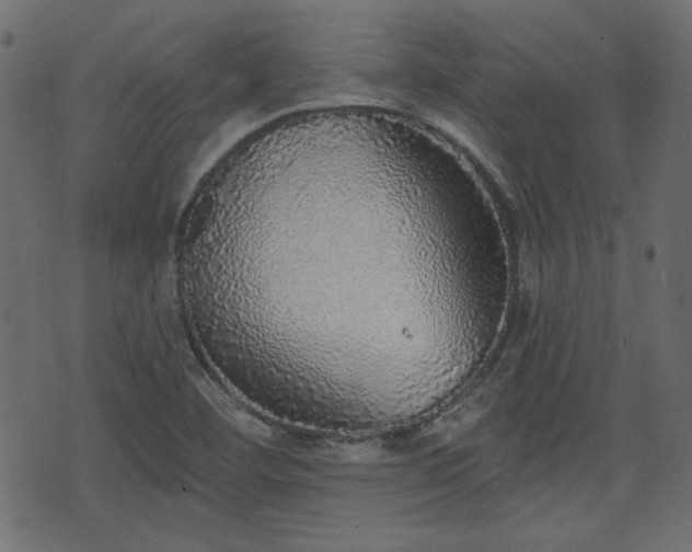 X0000070861460200606231241