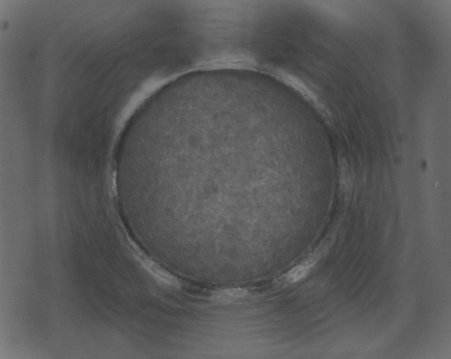 X0000070861462200606231241