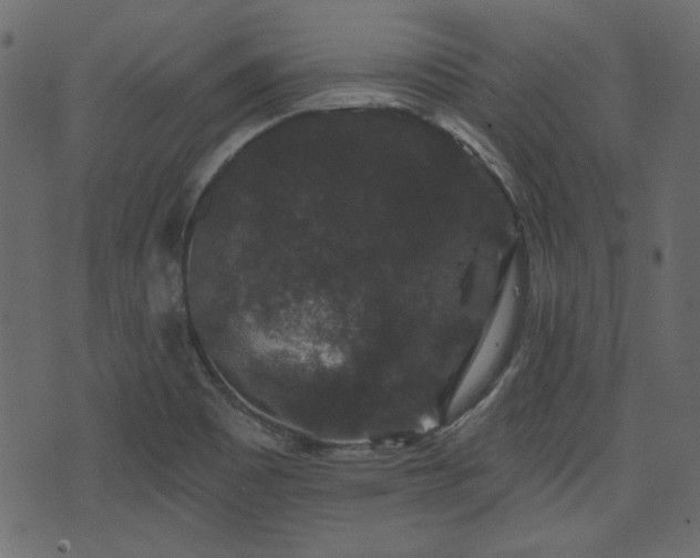 X0000070861465200606231241