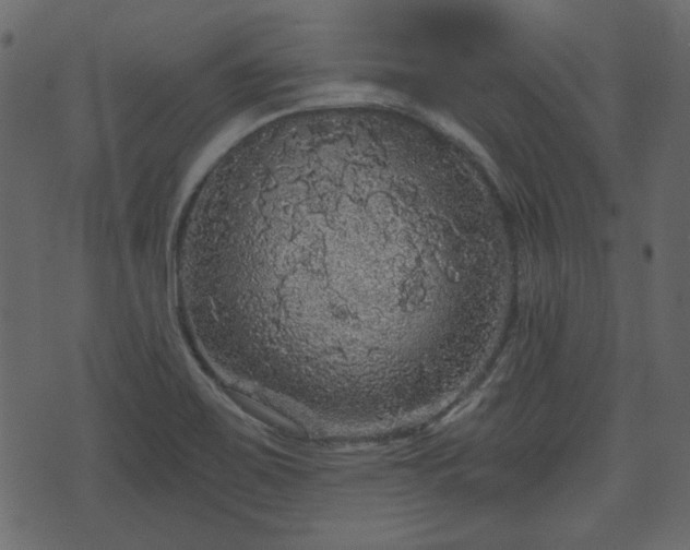 X0000070861467200606231241