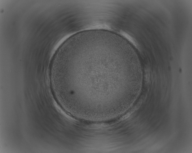 X0000070861468200606231241