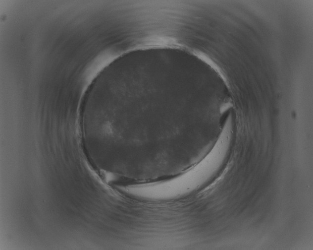 X0000070861469200606231241