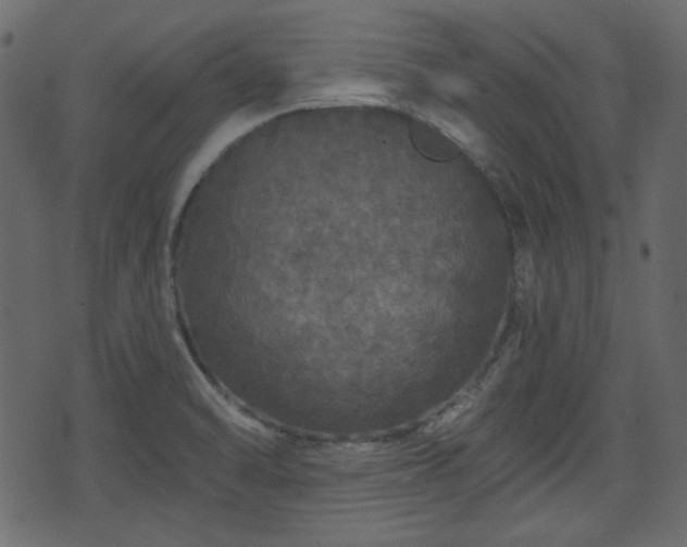 X0000070861470200606231240