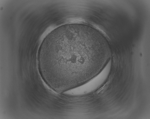 X0000070861471200606231240