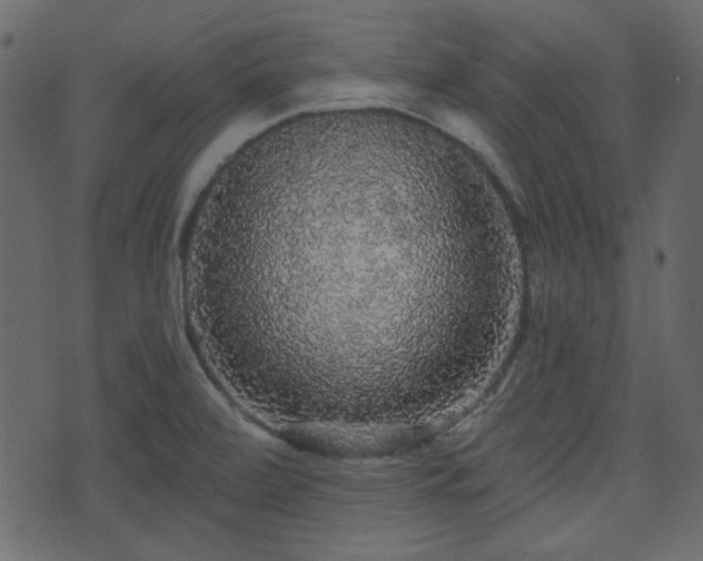 X0000070861472200606231240